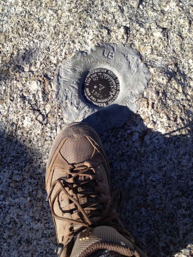 My Trusty Hiking Boot on Mount Hoffmann August 2012